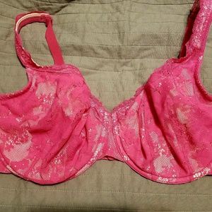 Hot Pink Lace Cacique Bra 42DDD